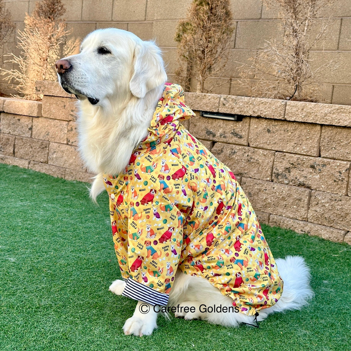 Multi Dogs on Yellow Raincoat