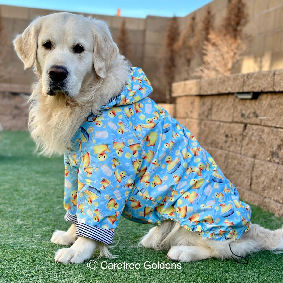 Ducks on Blue Raincoat - Main Image