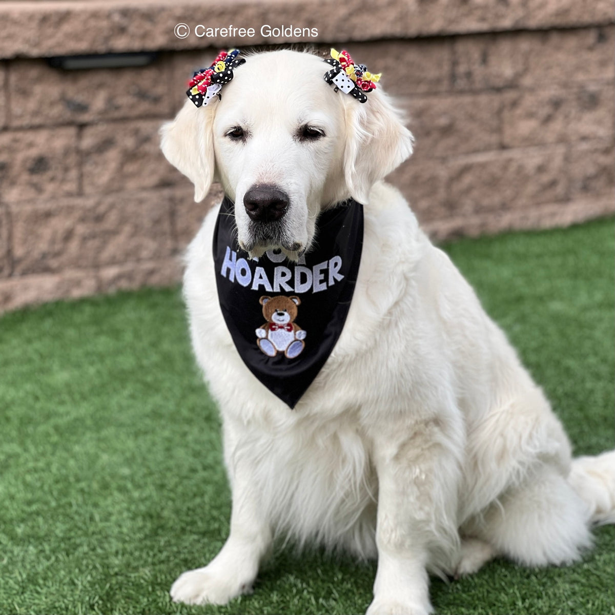 Pink Bows and Bandana Set – Carefree Goldens