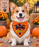 Spooky but Cute Bandana