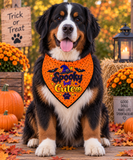 Spooky but Cute Bandana
