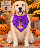 Lick or Treat Bandana