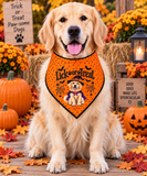 Lick or Treat Bandana