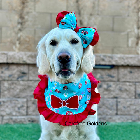 Bandana and Headband Set