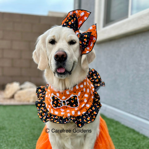 Halloween Bandana