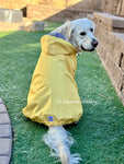 Plain Yellow Raincoat