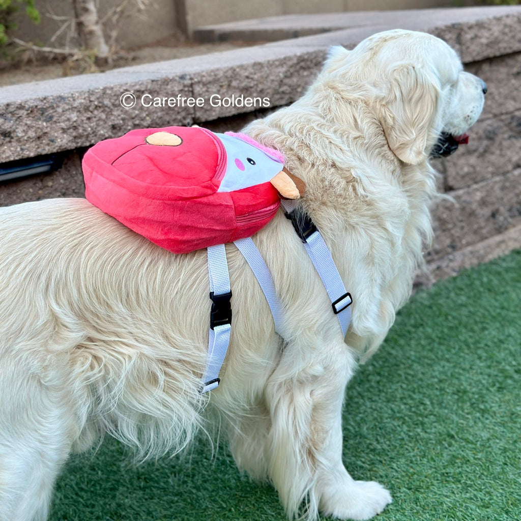 lululemon backpack for dogs Dog Backpack – Carefree Goldens