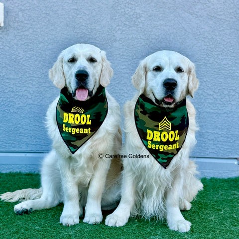 Drool Sergeant Bandana