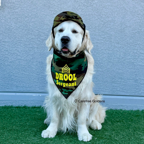Set of K9 Kool Hats & Drool Sergeant Bandana