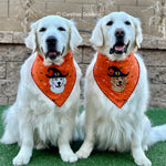 Halloween Embroidered Bandana