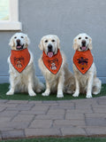 Lick or Treat Bandana