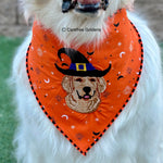 Halloween Embroidered Bandana