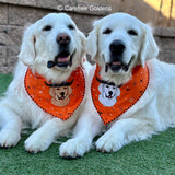 Halloween Embroidered Bandana