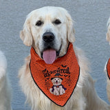 Lick or Treat Bandana