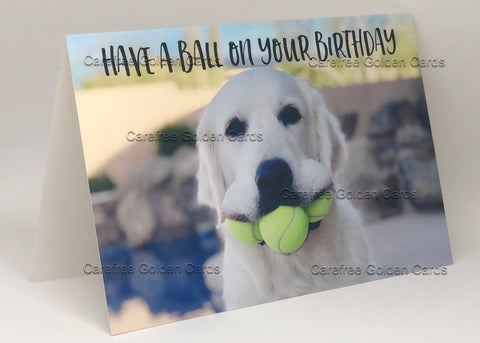 Birthday Card Have A Ball