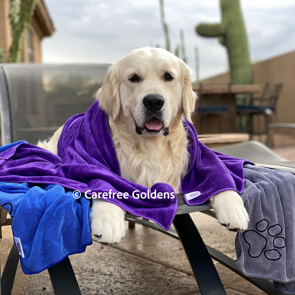 2 Super Absorbent Towels – Carefree Goldens
